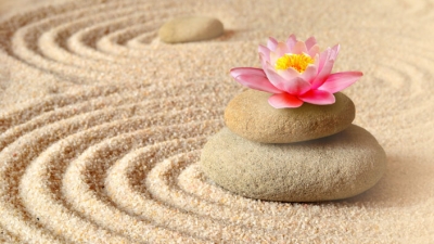 Calm Spa Sanctuary & Wellness