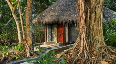 Calm Spa Sanctuary & Wellness