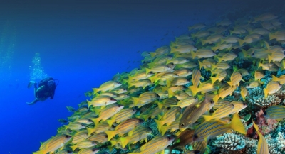 Rainy Day Activities