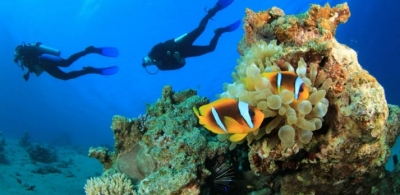 Discover Scuba Diving