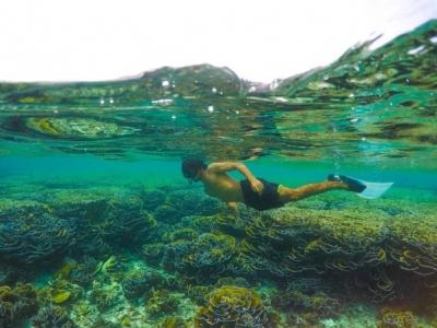 Coral Garden Visit