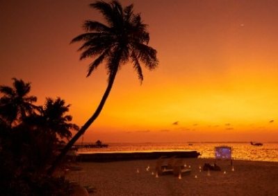 Cinema Under The Stars