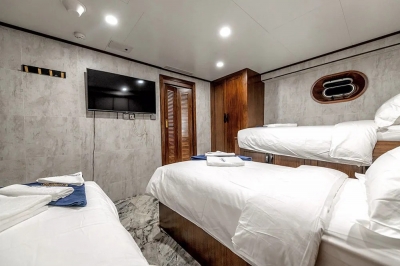 DELUXE DOUBLE SUITE